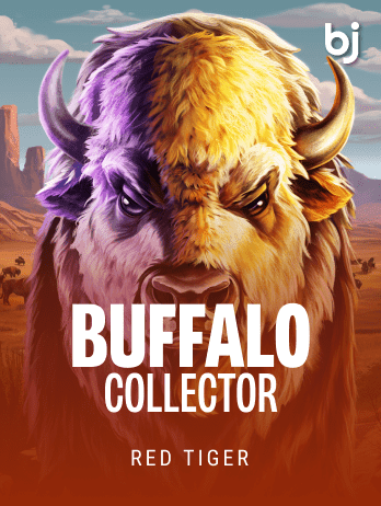 Buffalo Collector thumbnail